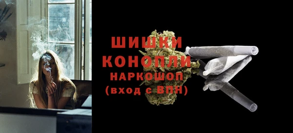 ПСИЛОЦИБИНОВЫЕ ГРИБЫ Костерёво