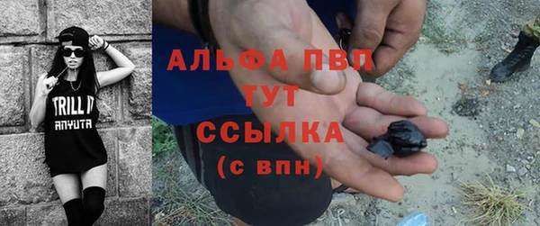 ПСИЛОЦИБИНОВЫЕ ГРИБЫ Костерёво
