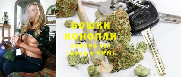 ПСИЛОЦИБИНОВЫЕ ГРИБЫ Костерёво