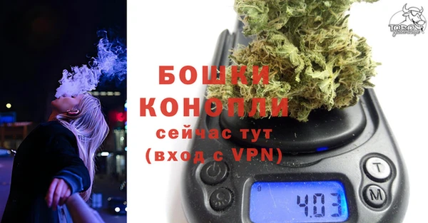 ПСИЛОЦИБИНОВЫЕ ГРИБЫ Костерёво