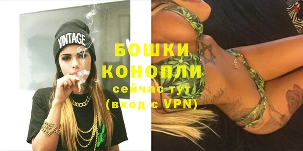 бошки Коряжма