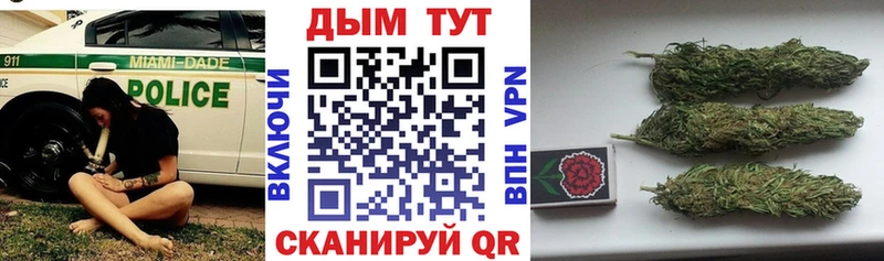 Канабис сатива  Купить  Высоцк 